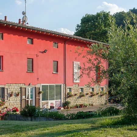 Montagnana  Al Sasseto B&B المظهر الخارجي الصورة